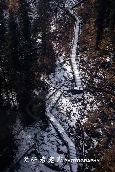 逃离粉红岛